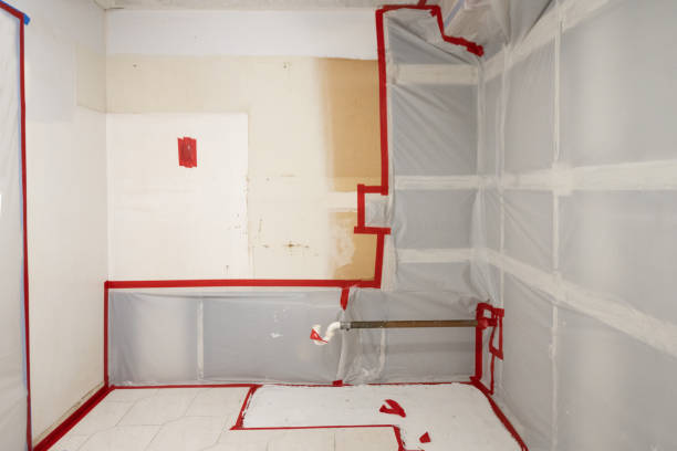 Best Airborne Mold Testing  in Thousand Palms, CA